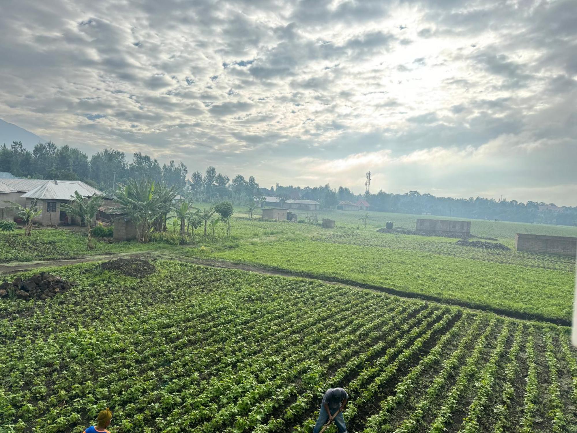 Seven Seven B&B Arusha Luaran gambar
