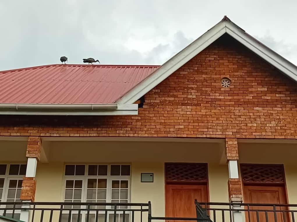 Seven Seven B&B Arusha Luaran gambar